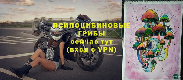 скорость Бородино